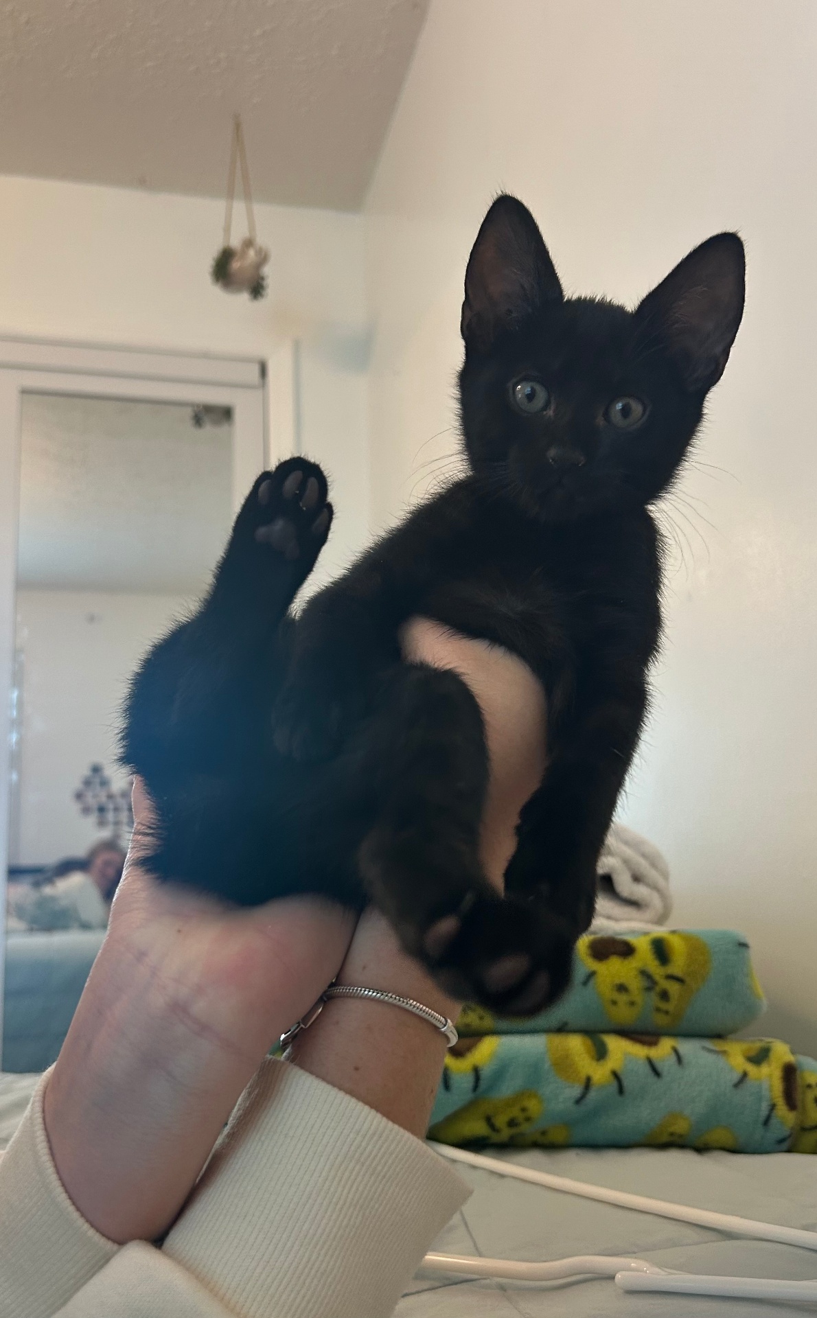 A happy moment caring for pets, children, and homes